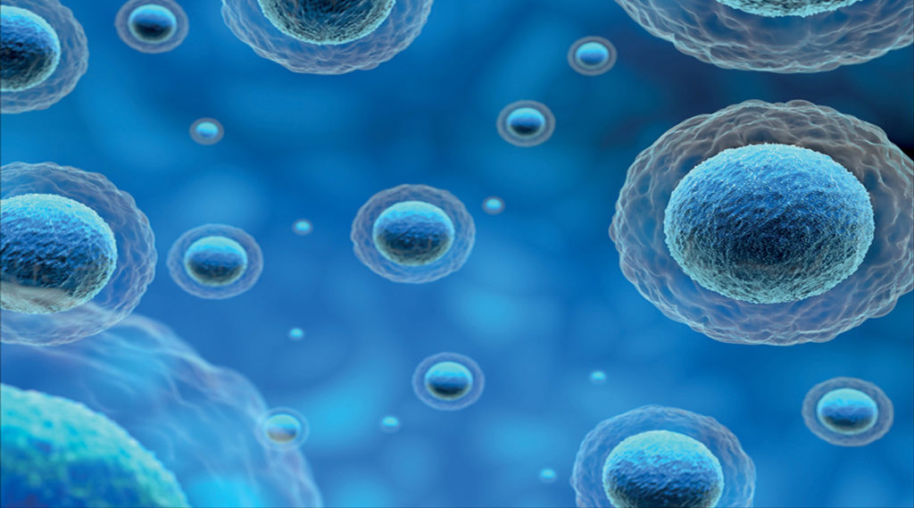 Indoor Air Quality: 4 Common Air Quality Pollutants