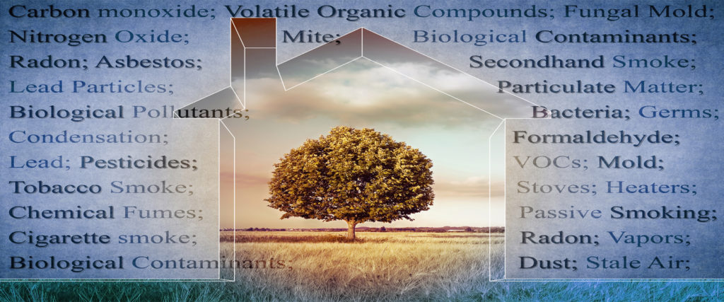 Indoor Air Quality: 6 Steps to Improve IAQ